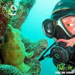 Cindy Meier Hanstein - @cindy_island_diver - Instagram