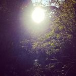 Cindy Mellinger - @mellingercindy - Instagram