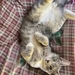 Cindy Mercer - @cindydeanmercer - Instagram