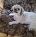 Cindy Mercer - Facebook