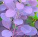 Cindy Merrick - Facebook