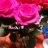 Cindy Harney Milner - @cindyharneymilner - TikTok