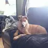cindymilner836 - @cindymilner836 - TikTok