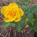 Cindy Mohr - Facebook
