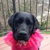 Cindy Mohr - Facebook