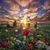 Cindy Mohr - Facebook