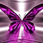Cindy Montgomery - @pepsimont - Instagram