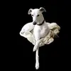 cindymoody - @cindymoody - TikTok