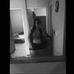 Cindy Moreno - Facebook