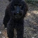 Cindy Morley - @ceesanne - Instagram