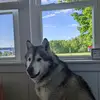 Cindy Mosher911 - @cindymosher918 - TikTok