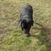 Cindy Mosher - Facebook