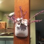 Cindy Mosier Bertoldi - @cindybertoldi - Instagram