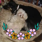 Cindy Mullen - Facebook
