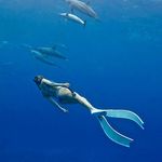 Cindy Robinson Mullen - @cindyrobinsonmullen - Instagram