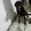 CindyMullen - @cindymullenharapik - TikTok
