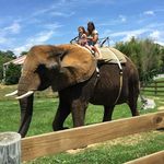 Cindy Mullins - @cindy.mullins.7 - Instagram