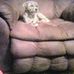 Cindy Mulvaney - Facebook