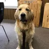 cindymunson68 - @cindymunson68 - TikTok