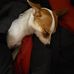 Cynthia Munson - Facebook