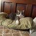 Cindy Nagy - Facebook