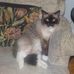 Cindy Nagy - Facebook