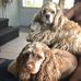 Cindy Nagy - Facebook