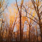 Cindy Nagy - Facebook