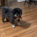 Cindy Nance - Facebook