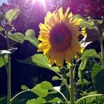 Cindy Neely - @cindy.neely.35 - Instagram