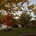 Cindy Neely Roederer - @cindyroederer - Instagram
