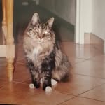 Cindy Newton - @cindynewton4650 - Instagram
