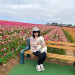 Cindy Chan Ngan - @1realtorcindy - Instagram