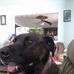 Cindy Nicholas - Facebook