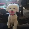 Cindy Nicholas-Walker - @cindy.nicholaswal - TikTok