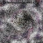 Cindy Nicholson - @cindynicholson464 - Instagram