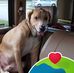 Cindy Norman - Facebook