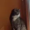 cindynorman44 - @cindynorman44 - TikTok