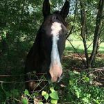 Cindy North - @cindynorth4 - Instagram