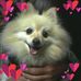 Cindy Nowell - Facebook