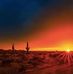 Cindy Oswald - Facebook