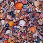 Cindy Oswald - @cindy.oswald - Instagram