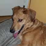 Cindy Oswald Freitas - @merise67 - Instagram