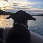 Cindy Pack - @cp1721 - Instagram