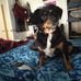 Cindy Pack - Facebook