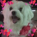 Cindy Patrick - Facebook