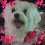 Cindy Patrick - @cindy.patrick.100483 - Instagram