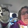 cindy peer - @cindypeer0 - TikTok