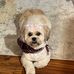 Cindy Pensak - Facebook