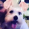 cindyperalta139 - @cindyperalta139 - TikTok